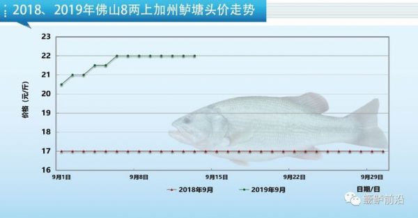 龙鱼家常做法：龙鱼家常做法，简单易行，肉质鲜香， 水族问答
