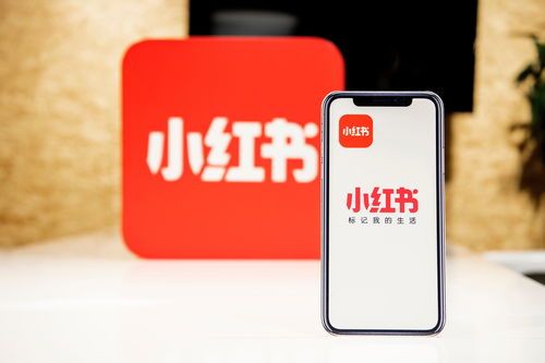 “家居宠物池,养鱼乐无边,分享!”