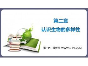 《认识生物的多样性》PPT免费课件下载