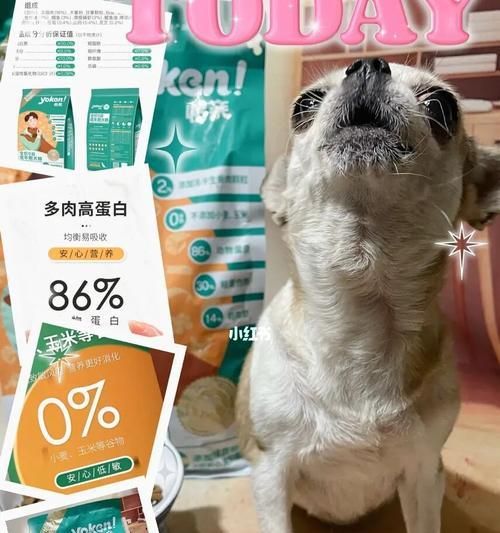 狗狗何时可以换成犬粮？（从母乳到成年犬粮，狗狗饮食全解析）