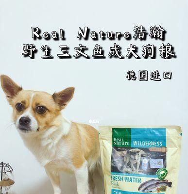 狗狗何时可以换成犬粮？（从母乳到成年犬粮，狗狗饮食全解析）