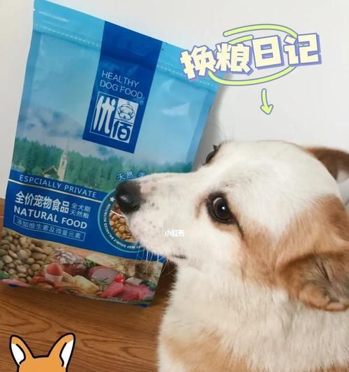 狗狗何时可以换成犬粮？（从母乳到成年犬粮，狗狗饮食全解析）