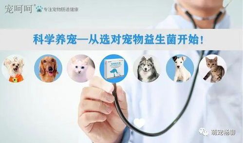 养宠必备:宠物常见病症鉴速查!