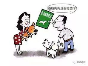科学喂养,宠物健康指南