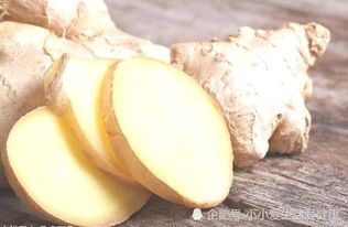 宠物口臭,试试这几种食物!