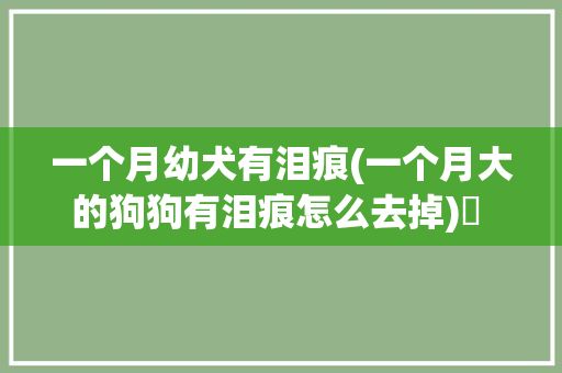 一个月幼犬有泪痕(一个月大的狗狗有泪痕怎么去掉)✅ 