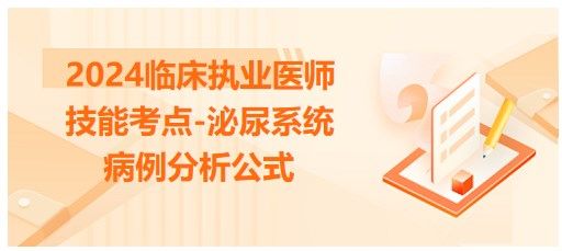泌尿系统