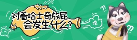 宠物趣味搞笑卡通视频封面