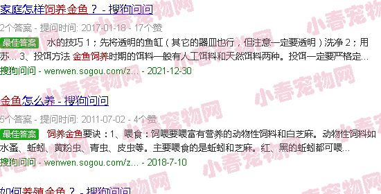 金鱼养殖技术