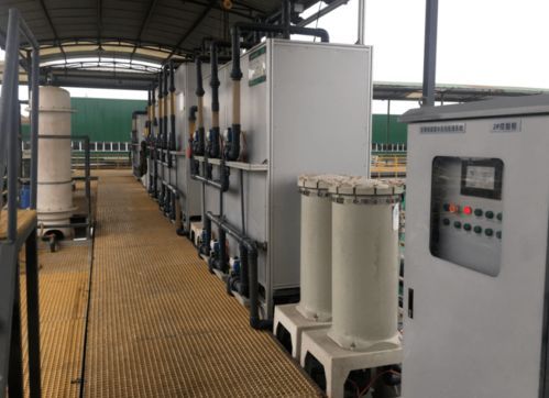 高科技废水养金鱼，潼南宠物新潮流！