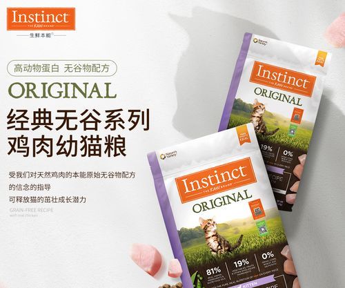 宠物：猫粮选购指南
