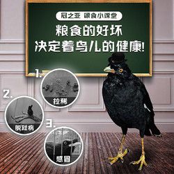 冠之亚 八哥鹩哥饲料鸟粮饲料营养鹩哥鸟食海八黑八专用鸟粮粮鸟料5斤装