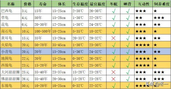 新手养什么龟比较好养