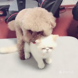 湖州萌宠乐园酒店精选推荐指南