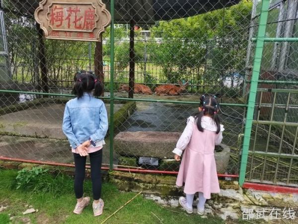 湖州萌宠乐园酒店精选推荐指南