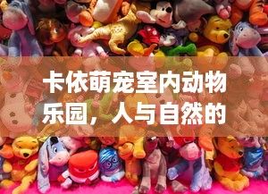 珠海萌宠乐园主题酒店——探索宠物友好的奇妙空间