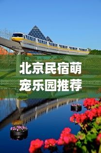 北京民宿萌宠乐园推荐
