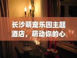长沙萌宠乐园主题酒店，萌动你的心，享受不一样的住宿体验