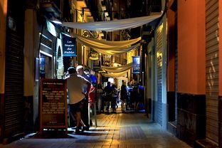 长沙萌宠乐园主题酒店，萌动你的心，享受不一样的住宿体验