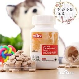 宠物补充钙质，早餐后最佳。