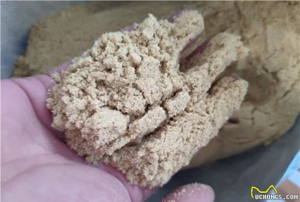 为什么很多人买猫粮都会选择凯瑞思宠物食品？