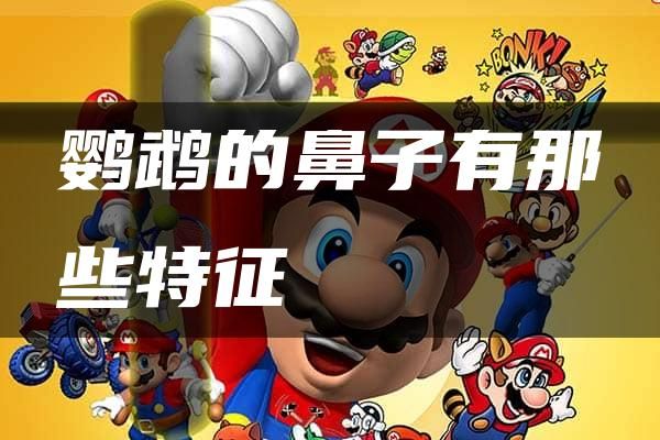 鹦鹉的鼻子有那些特征
