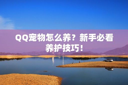 QQ宠物怎么养？新手必看养护技巧！-第1张图片