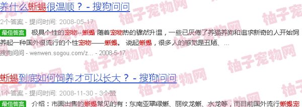 宠物蜥蜴大全