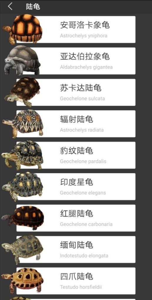 龟的分类有哪些,宠物龟有哪些种类的