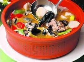 产后猫咪滋补食谱推荐