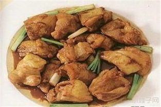 产后宠物营养食谱推荐