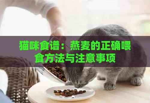 猫咪食谱：燕麦的正确喂食方法与注意事项