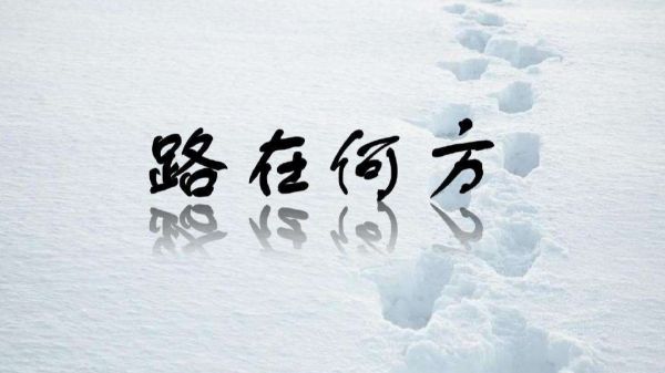 宠食企业突围，敢问路在何方