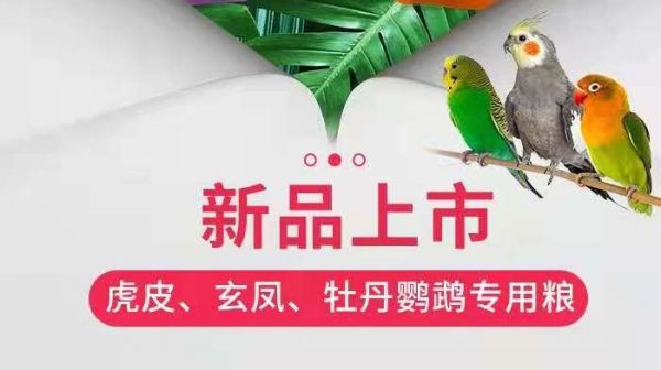 开元鹦鹉家族上新三款鹦鹉粮