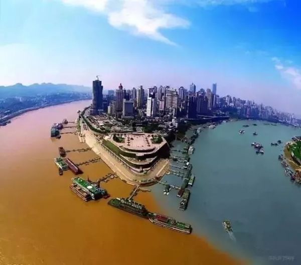 萌宠饭宠物乐园，打造最佳宠物体验天堂