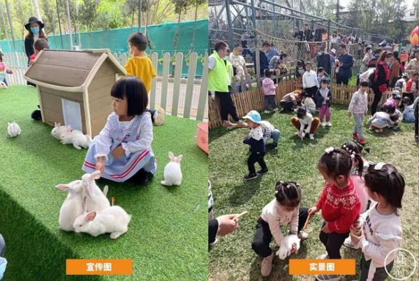 萌宠乐园栅栏安装，打造安全舒适的宠物天堂