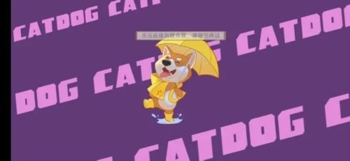 狗狗呼叫喵星官方版游戏优势