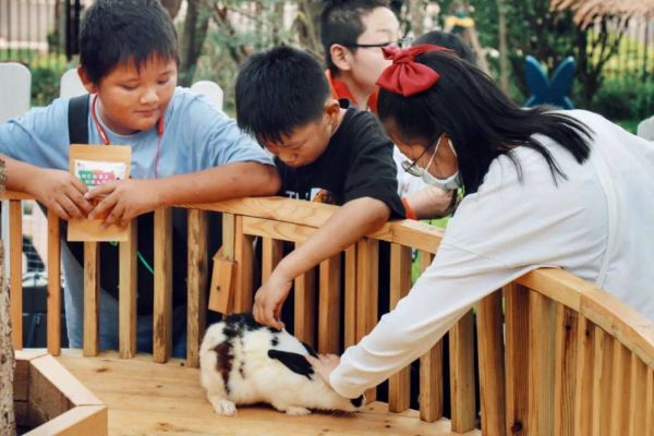 秋长萌宠乐园，自然与宠物的和谐共生