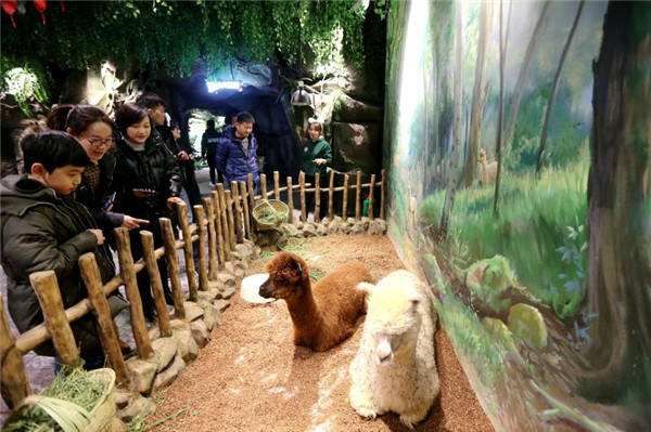 萌宠乐园巴国城，梦幻般的宠物世界