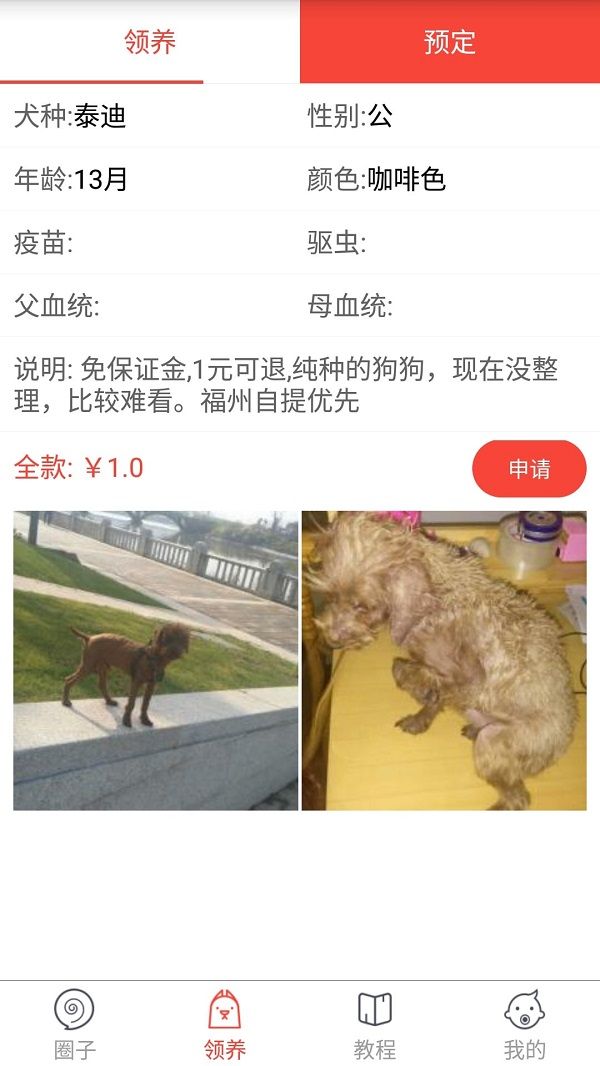 领狗狗官方下载