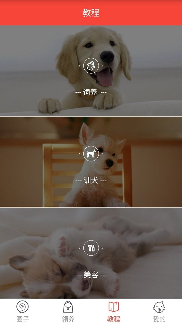 领狗狗官方下载