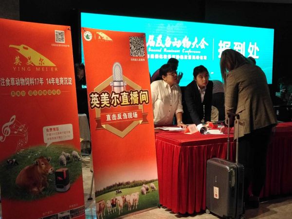 繁殖母羊的饲养注意点-羊吃什么下奶多又快