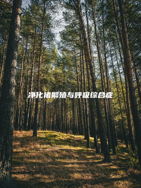 净化猪繁殖与呼吸综合症
