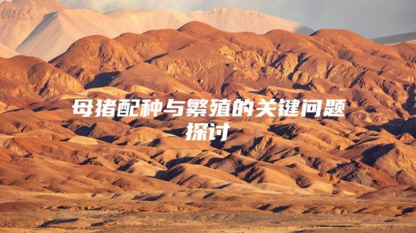 母猪配种与繁殖的关键问题探讨