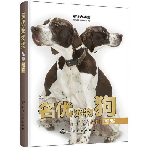 宠物种类鉴大全