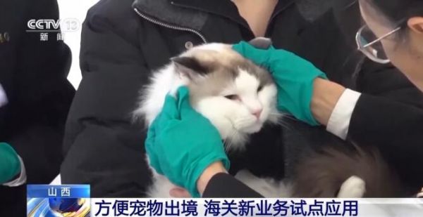 QQ截图20250226153554
