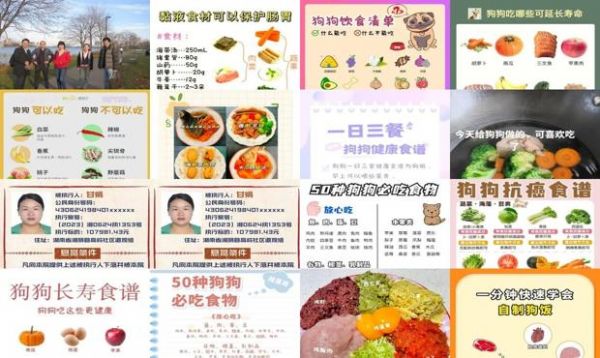 狗狗营养餐食谱大全