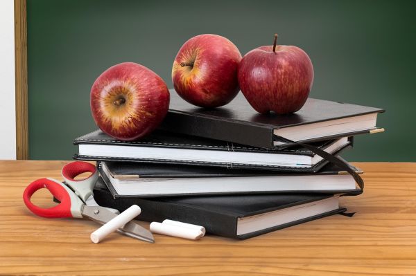 宠物营养师烘焙学校，烘焙与养宠的完美结合