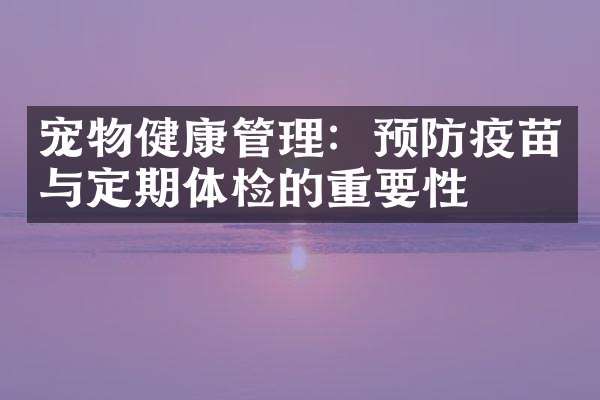 宠物健康管理：预防疫苗与定期体检的重要性