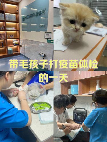 万物皆有灵性，请善待每一个生命！